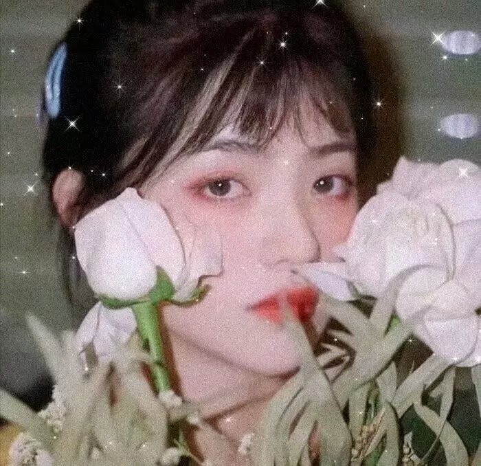 雏燕鸣春